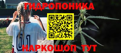 гидропоника Кинель