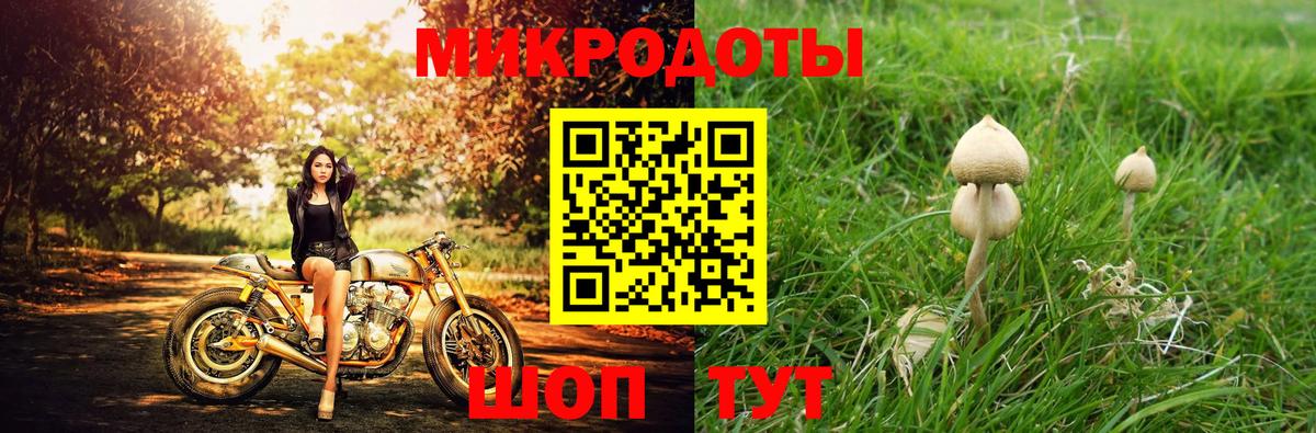 Псилоцибиновые грибы Psilocybe  Псилоцибиновые грибы ЛСД  Балашов  купить наркоту  Вход с VPN 